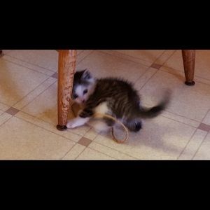 Meet your Posher, Georgi